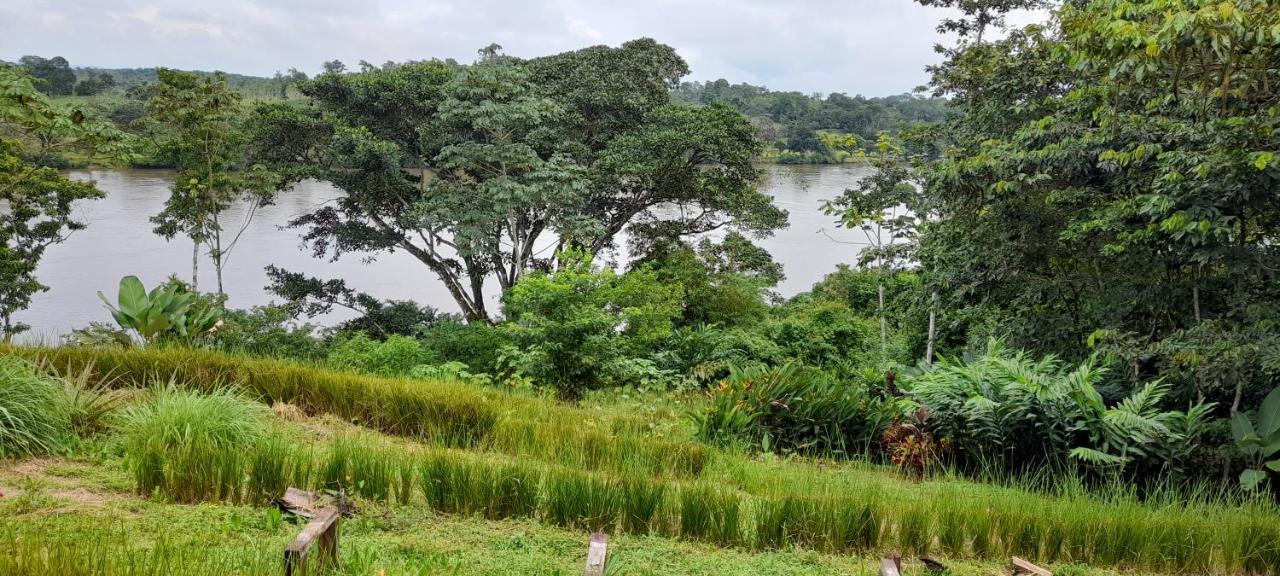 La Mariola - Finca Agroecologica El Castillo de La Concepcion Екстер'єр фото