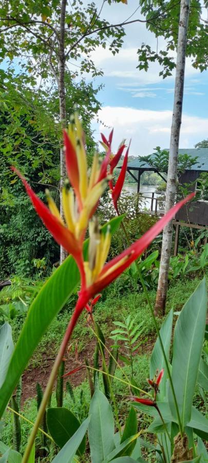 La Mariola - Finca Agroecologica El Castillo de La Concepcion Екстер'єр фото