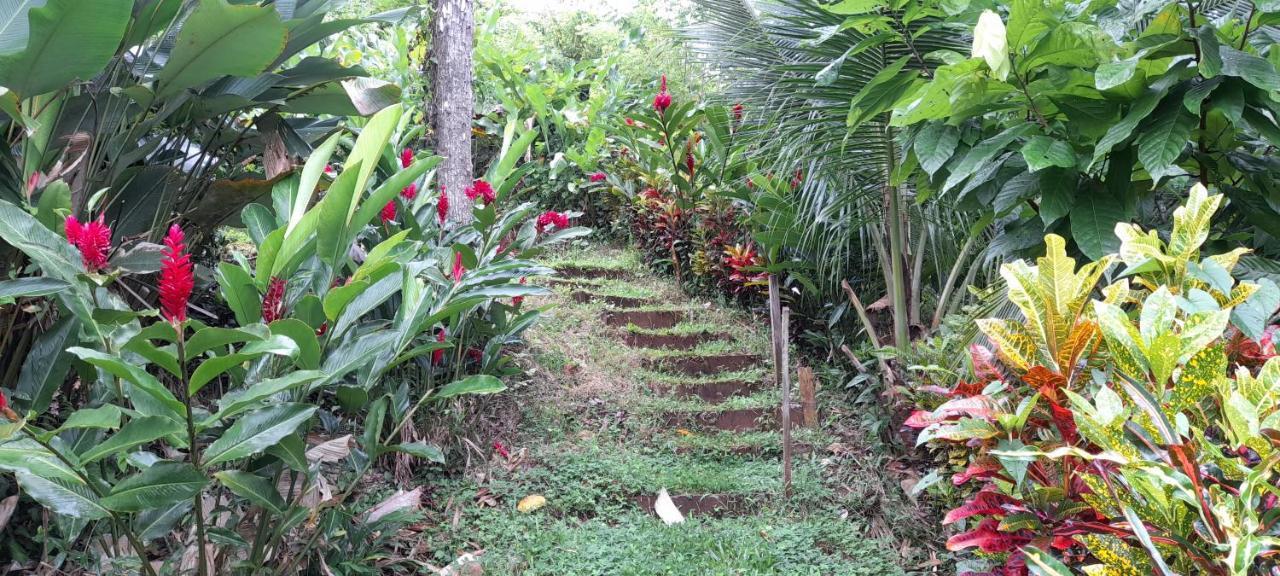 La Mariola - Finca Agroecologica El Castillo de La Concepcion Екстер'єр фото