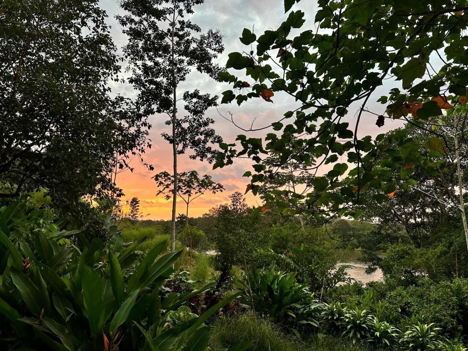 La Mariola - Finca Agroecologica El Castillo de La Concepcion Екстер'єр фото